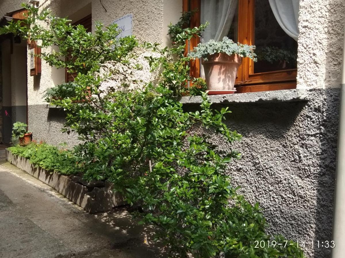 Вилла Casa Julio Торла Экстерьер фото
